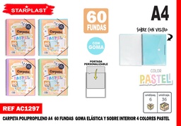 CARPETA CON 60 FUNDAS A4