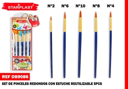 JUEGO DE PINCELES 5PCS