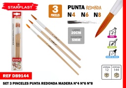 SET 3 PINCELES 4.6.8